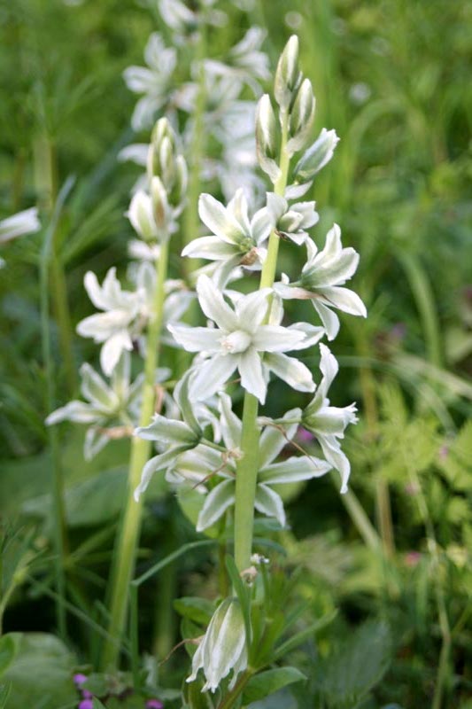 Killikus&reg; Fotographie